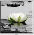 /album/photo-gallery-canvas-uri/decoratiuni-de-perete-canvas-lc-0084-jpg/